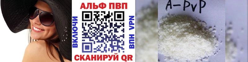 A PVP СК КРИС  Светлоград 