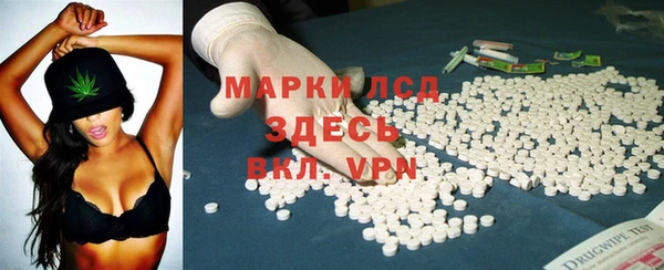прущие грибы Алексеевка