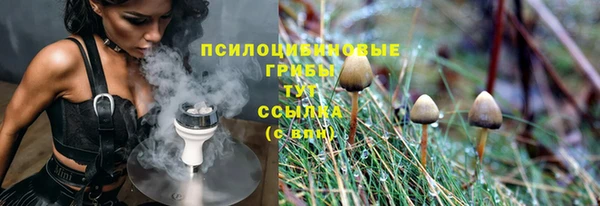 прущие грибы Алексеевка