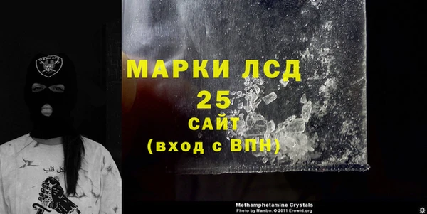 прущий лед Алзамай