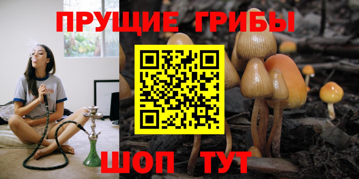 купить наркотики сайты  Псилоцибиновые грибы Psilocybine cubensis  Галлюциногенные грибы Cubensis  Вход с VPN  Светлоград 